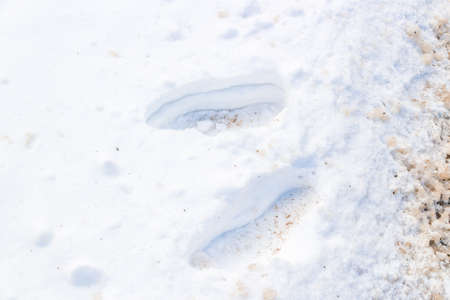 human footprints in the snowの写真素材