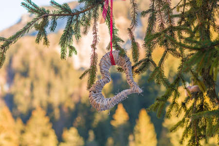 hearts hanging from pine branch in Valentine dayの写真素材