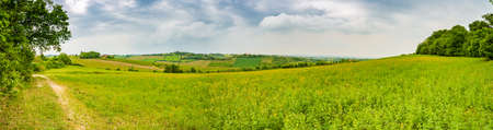 view on the cultivated fields of Italian hilly countrysideの写真素材
