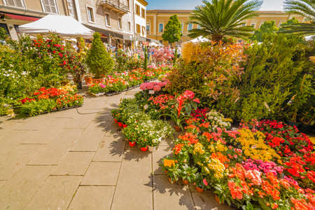 Flower fair in medieval village in Italyの写真素材