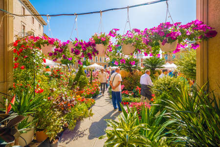 Flower market in medieval village in Italyのeditorial素材