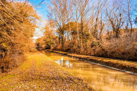 Water flowing in a channel through green pinewoodの写真素材