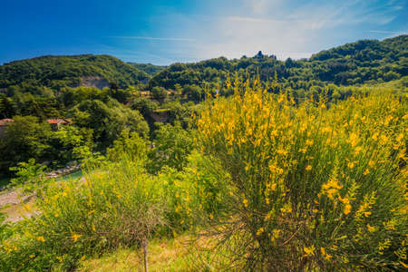 green and yellow nature on hilly countryside near Bologna in Italyの写真素材