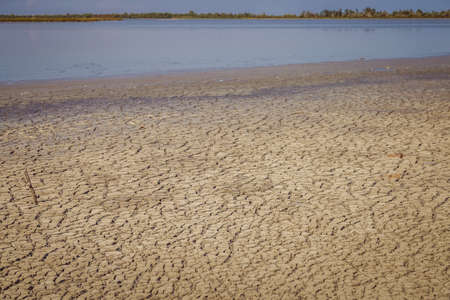 cracked clay soil beach on clear lagoon waterの写真素材