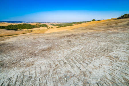 tractor tracks under sunset on cultivated fields in countryside near Siena, Italyの写真素材