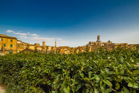 panorama of Siena, wonderful medieval town in Italyの写真素材