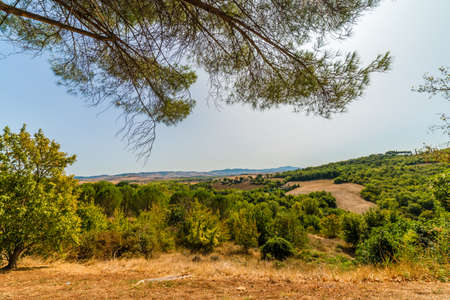 green weeds and arid rocks the  region of badlands under the sun of Tuscany in Italyの写真素材