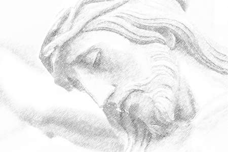 Head crowned with thorns in the Crucifixion of Jesus Christ,の写真素材