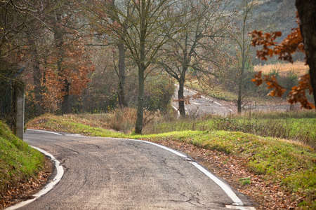 road to vanishing point running though fall colors on hills near Bologna in Italy