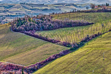 vineyards and cultivated fields in badlands in Italian countrysideの写真素材