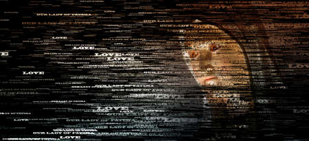 Closeup of The Blessed Virgin Mary covered by the words Love and Our Lady of Fatima in a cinematic...