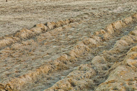 Background of sand and shells on the Adriatic coast in Emilia Romagna, Italy