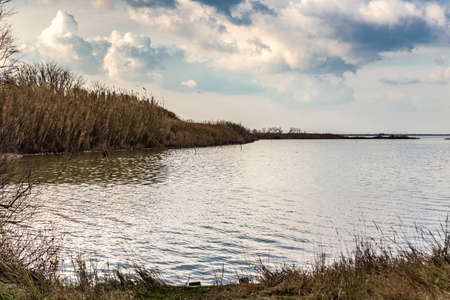 cloudy sky over weeds in wild lagoon in winterの写真素材