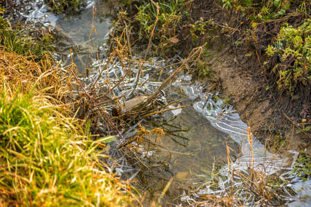 weeds in frozen irrigation water channel