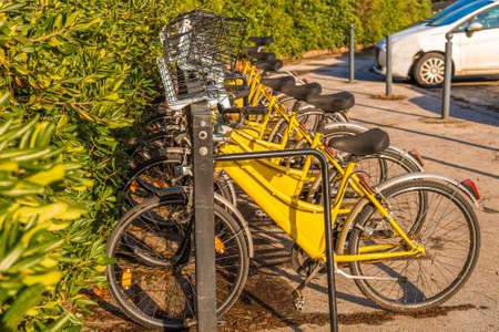 Yellow pool sharing bicycles on the bike rackの写真素材