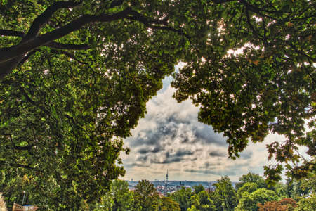 view of the cityscape of Prague through leavesの写真素材