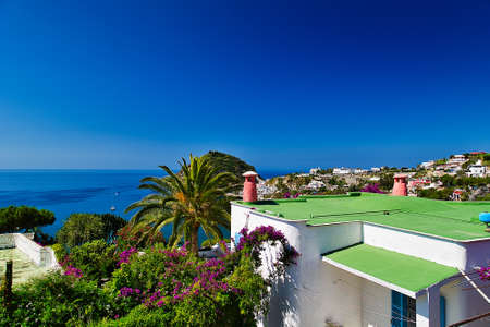 seascape of typical Italian white houses on Ischia islandの写真素材