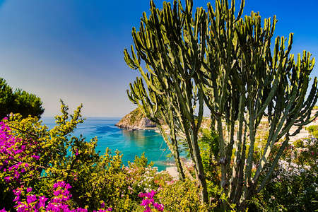 seascape from green garden in Italyの写真素材