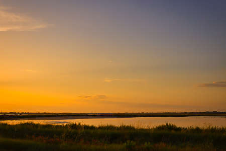 deep sunset on brackish wetlandsの写真素材