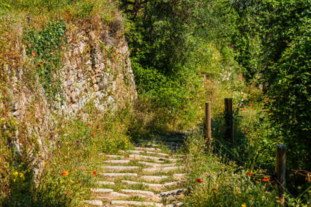 dirt stone stairway in country trailの写真素材