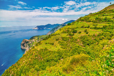 vineyard terraces overlooking the sea and ancient village