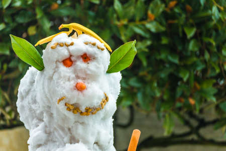 Snowman with organic parts in a cold winter day