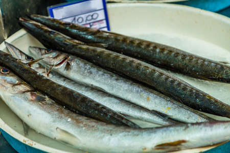 bunch of sea pikes on sale