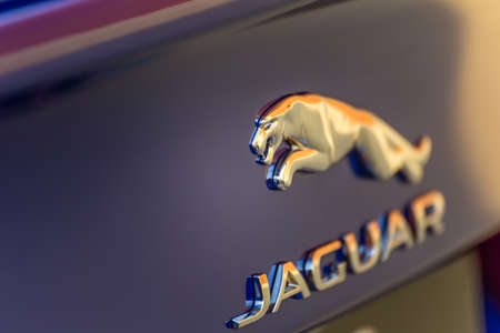 LUGO, ITALY - September 11, 2018: light enlightening jaguar logo on a car bodyのeditorial素材