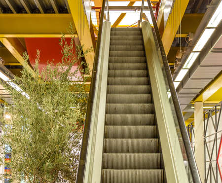 Escalator near an olive tree in exhibition buildingのeditorial素材