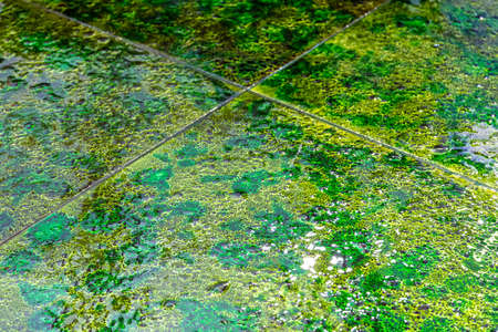 tiles floor background of abstract texture