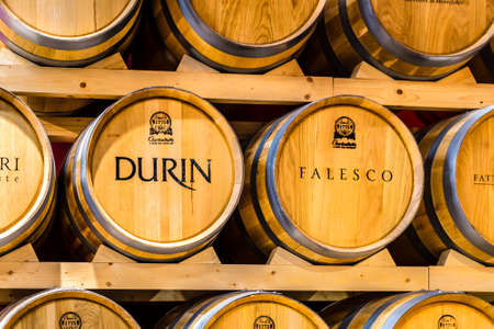 BOLOGNA, ITALY - OCTOBER 2, 2018: lights are enlightening Wine Barrels at FICO EATALY WORLD, the largest agri-food park in the worldのeditorial素材
