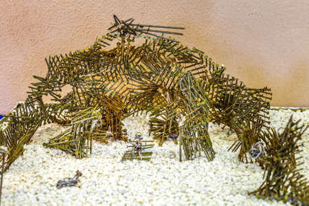 TERRA DEL SOLE (FC),ITALY - DECEMBER 27, 2017: lights are enlightening artistic crib in the 29th edition of the Nativity Scenes Exhibitionのeditorial素材