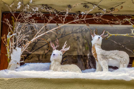 reindeers of Christmas Nativity sceneの写真素材