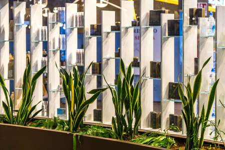 BOLOGNA, ITALY - OCTOBER 2, 2018: lights are enlightening shops at FICO EATALY WORLD, the largest agri-food park in the worldのeditorial素材