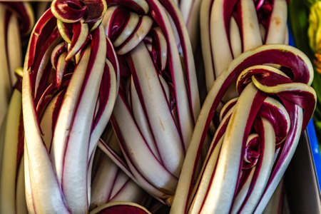 radicchio for sale in market stallの写真素材