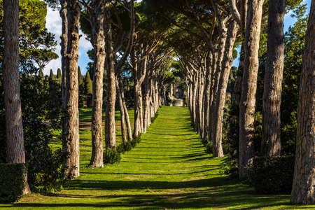 CASTEL GANDOLFO (ROME), ITALY - JANUARY 3, 2019: sun light is enlightening gardens of Pontificas Villas in Castel Gandolfoのeditorial素材