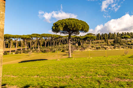 CASTEL GANDOLFO (ROME), ITALY - JANUARY 3, 2019: sun light is enlightening pine forest in gardens of Pontificas Villas in Castel Gandolfoのeditorial素材