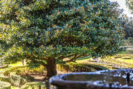 CASTEL GANDOLFO (ROME), ITALY - JANUARY 3, 2019: sun light is enlightening water in fountain in gardens of Villa Barberini in Castel Gandolfoのeditorial素材