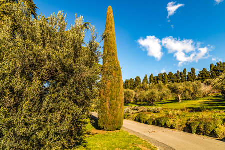 CASTEL GANDOLFO (ROME), ITALY - JANUARY 3, 2019: sun light is enlightening gardens of Pontificas Villas in Castel Gandolfoのeditorial素材