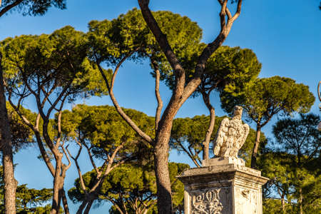 statue of eagle on green backgroundの写真素材