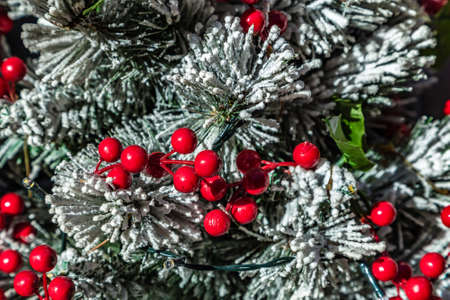 Christmas decorations on green treeの写真素材