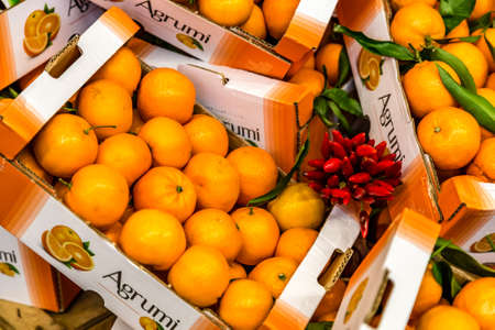 BOLOGNA, ITALY - DECEMBER 16, 2018: lights are enlightening oranges and clementines for sale at FICO Eataly World, the largest gourmet agri-food park in the worldのeditorial素材