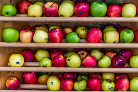 BOLOGNA, ITALY - DECEMBER 16, 2018: lights are enlightening MELINDA apples at FICO Eataly World, the largest gourmet agri-food park in the worldのeditorial素材