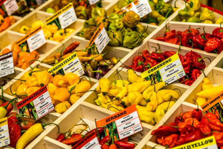 BOLOGNA, ITALY - DECEMBER 16, 2018: lights are enlightening different kinds of chili peppers at FICO Eataly World, the largest gourmet agri-food park in the worldのeditorial素材