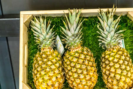 BOLOGNA, ITALY - DECEMBER 16, 2018: lights are enlightening pineapples for sale at FICO Eataly World, the largest gourmet agri-food park in the worldのeditorial素材