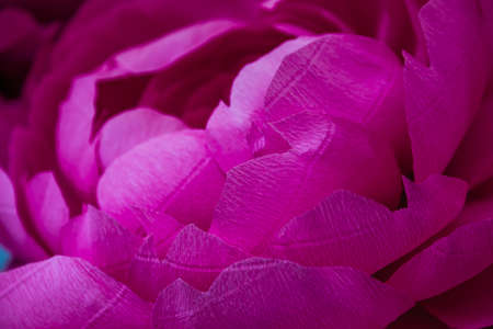 closeup of fuchsia fake flower