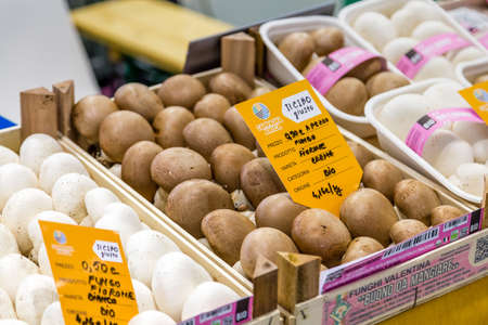 BOLOGNA (BO), ITALY - SEPTEMBER 6, 2019: lights are enlightening mushrooms at SANA 2019, 31st international exhibitionof organic and natural productsのeditorial素材