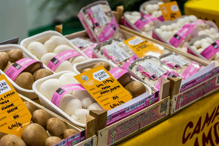 BOLOGNA (BO), ITALY - SEPTEMBER 6, 2019: lights are enlightening mushrooms at SANA 2019, 31st international exhibitionof organic and natural productsのeditorial素材