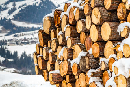 white snow covering logs on Italian mountainsの写真素材