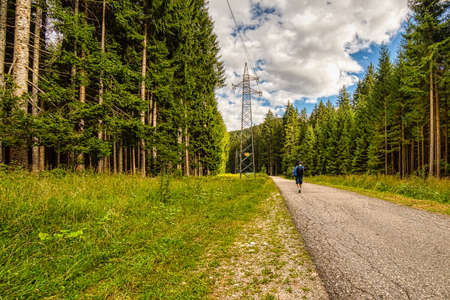 trekker walking on pathway running through wood in Italyの写真素材
